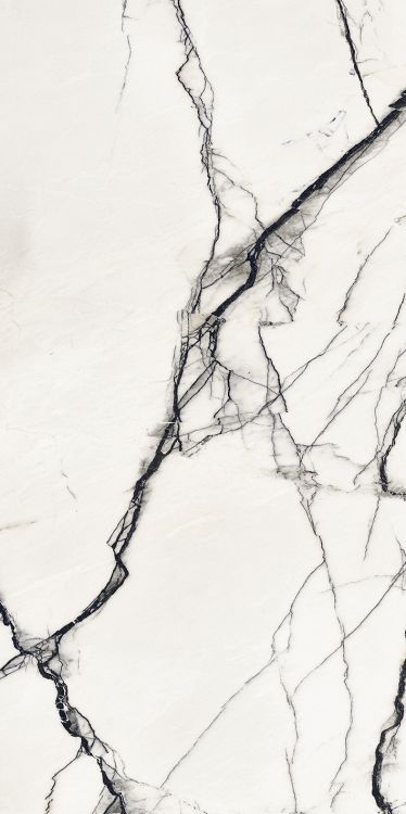 B&W Breach High-Glossy 24 x 48